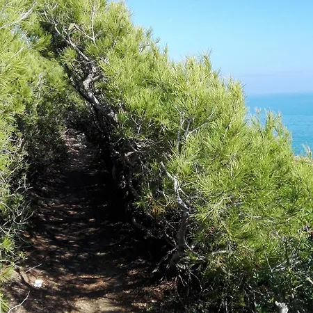 Oporrak Tamarit 2 Tarragona